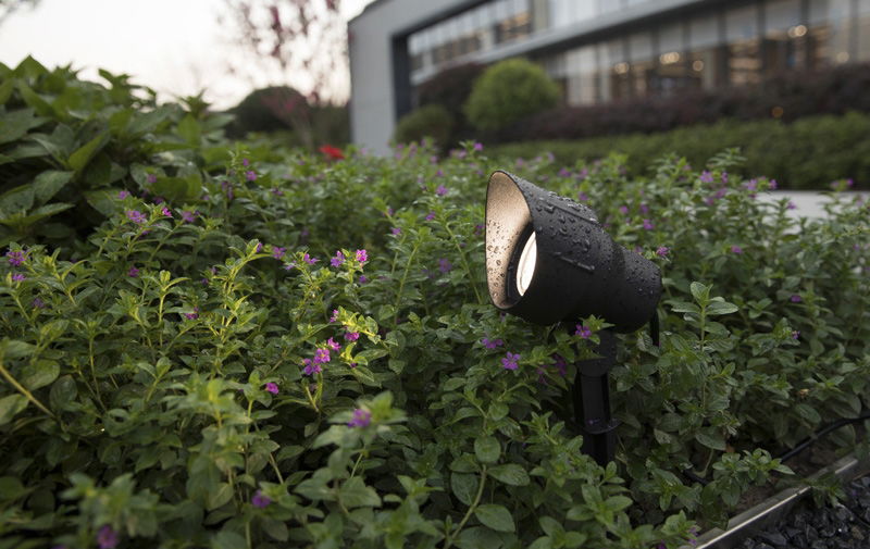 Outdoor Garden Spotlights positioned in vegetation to light up flower bed