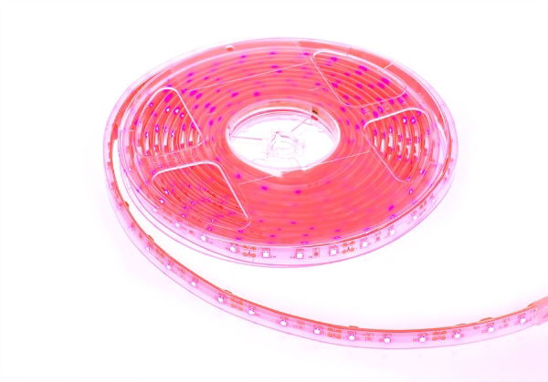 24W Red LED Reel