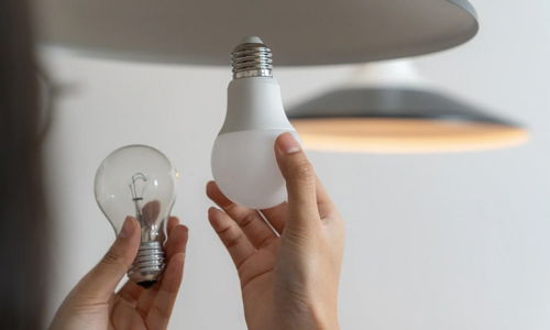 Person Changing a Light Bulb