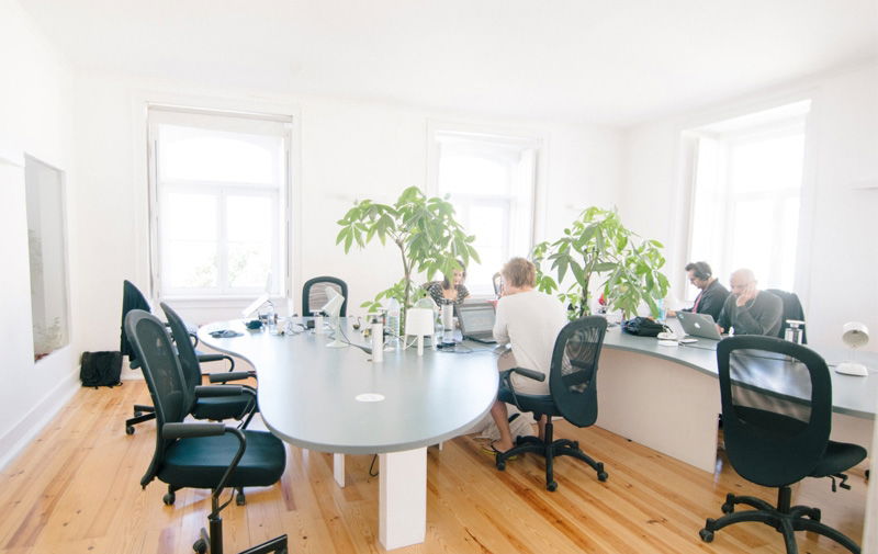 Natural Office Lighting Illuminating the workspace with plants and natural wood floors